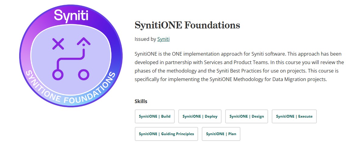 SynitiOne Foundations